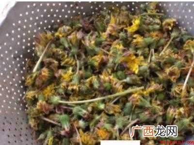 婆婆丁花怎么晒干