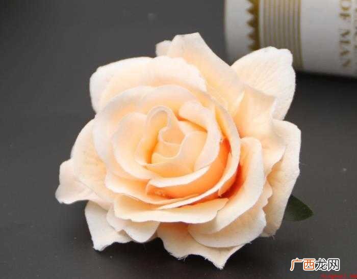 香槟色玫瑰的花语是什么