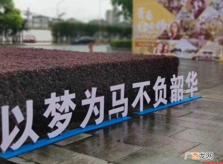 以梦为马不负韶华的意思是什么