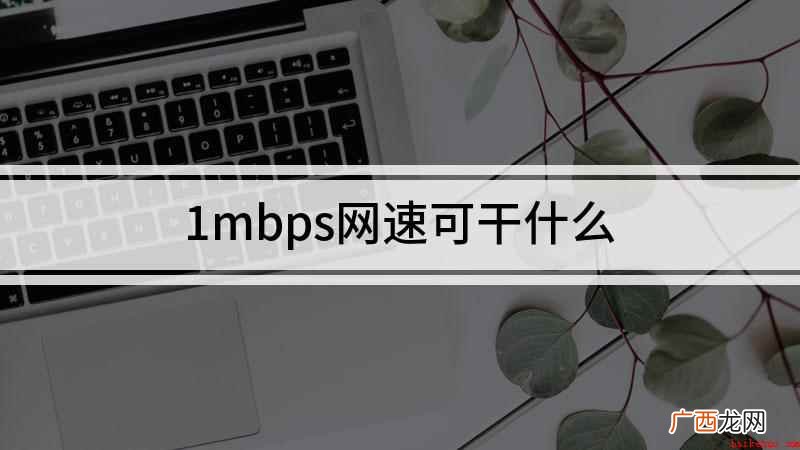 1mbps网速可干什么