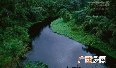 世界上最长的河流,最长的河流是？