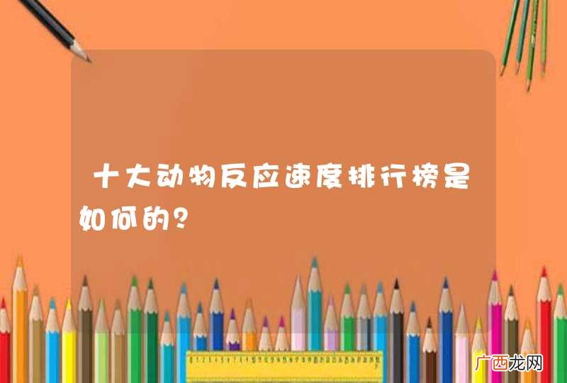 十大动物反应速度排行榜是如何的？