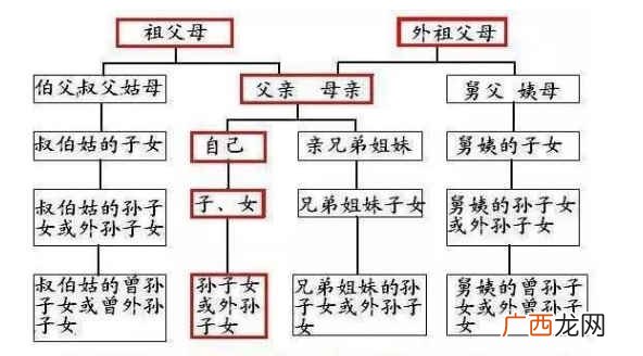 什么是三代以内的旁系血亲,3代以内近亲属 怎么算？