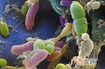 生物群落包括微生物吗,生物类群是什么？