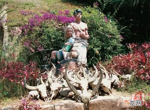 基诺族主要生活在哪个地区,56个民族有京族吗？