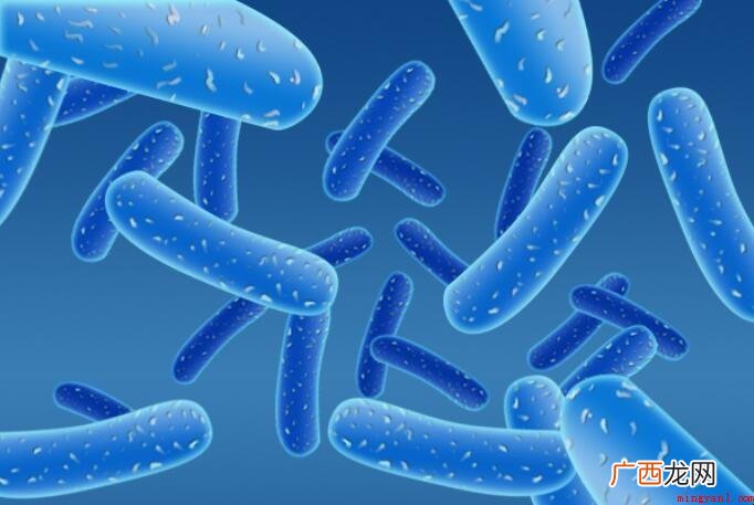 有关益生元是什么?_健康频道 益生元是什么