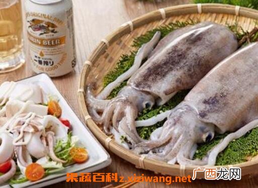 墨鱼汁的功效与作用,墨鱼的汁能食用吗？