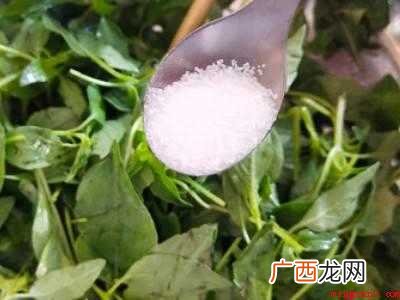 荆芥怎么吃窍门