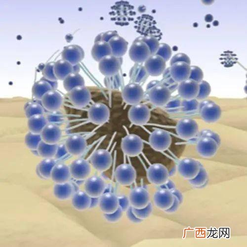 亲水基亲油基都有哪些如何区分,石油枧油是什么？