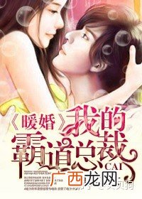 总裁文推荐,谁有好的男同性恋小说，推荐下？
