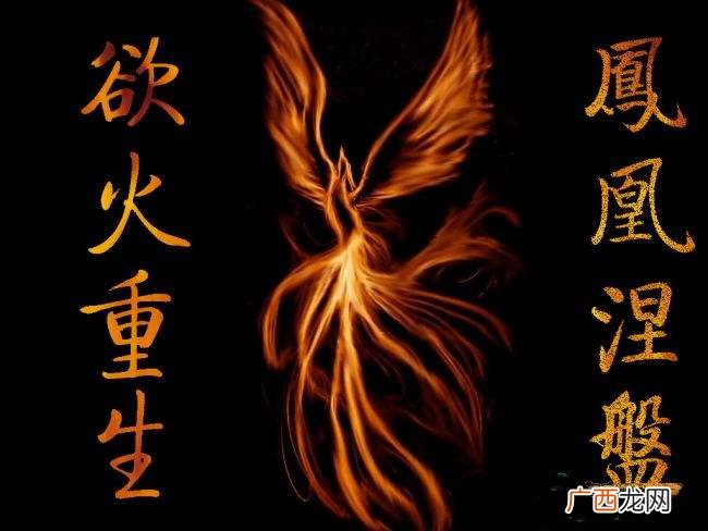 凤凰涅磐浴火重生意思,凤凰浴火涅磐重生什么意思？