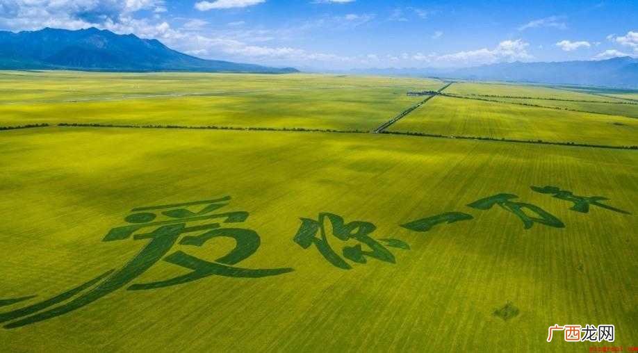 《爱你一万年》歌词是什么