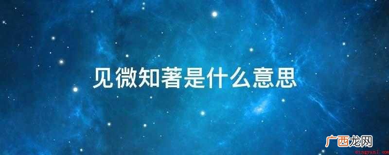 看到事情刚外露的一点迹象,就能了解其实质和发展的趋于 见微知著是什么意思