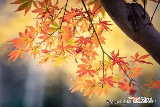 内涵涵养修养是什么意思,什么是修养？修养表现在哪些方面？