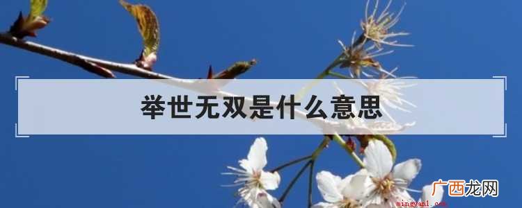 简略回应万中无一,源于汉·东方朔《答客难一首》,描述极为少见 举世无双是什么意思
