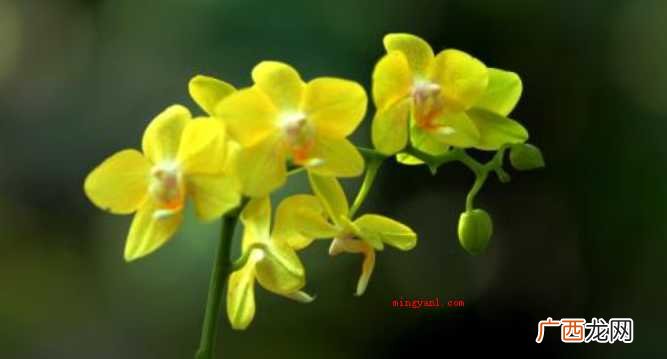 简略回应万中无一,源于汉·东方朔《答客难一首》,描述极为少见 举世无双是什么意思