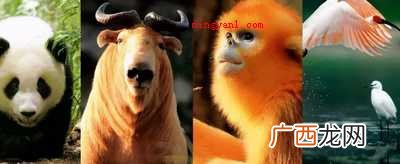 朱鹮;大熊猫;金丝猴;羚牛 秦岭四宝是指什么？