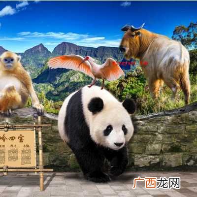 朱鹮;大熊猫;金丝猴;羚牛 秦岭四宝是指什么？