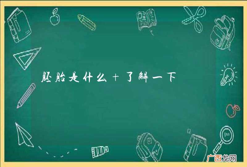 胚胎是什么 了解一下
