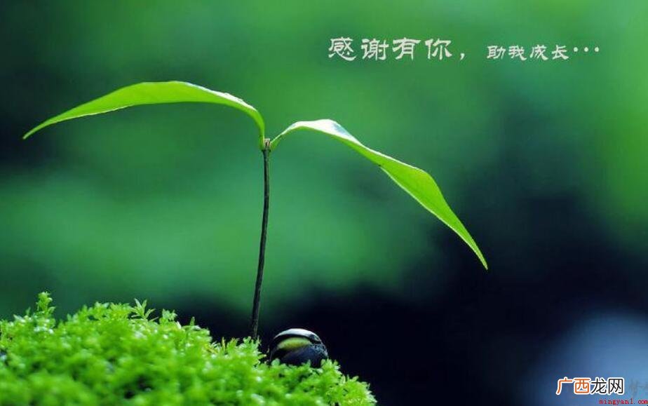 感谢你,我最好是,最知心的朋友! 感谢朋友的句子有哪些