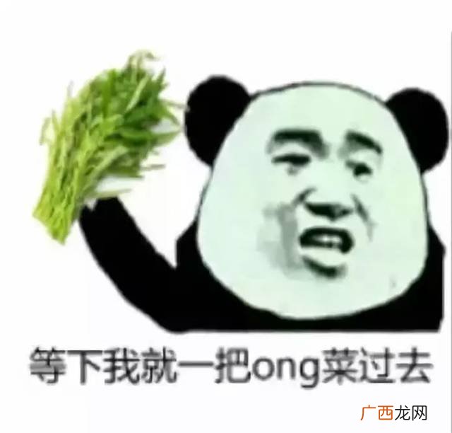 广西人说什么话,广西有多少人说桂柳话？