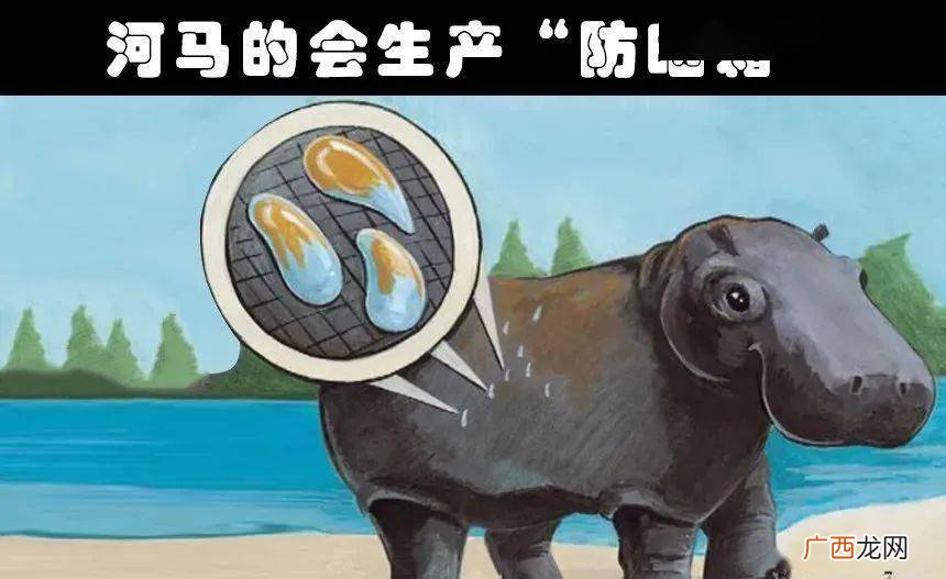 霜是什么动物,中秋明月地上霜打一动物？