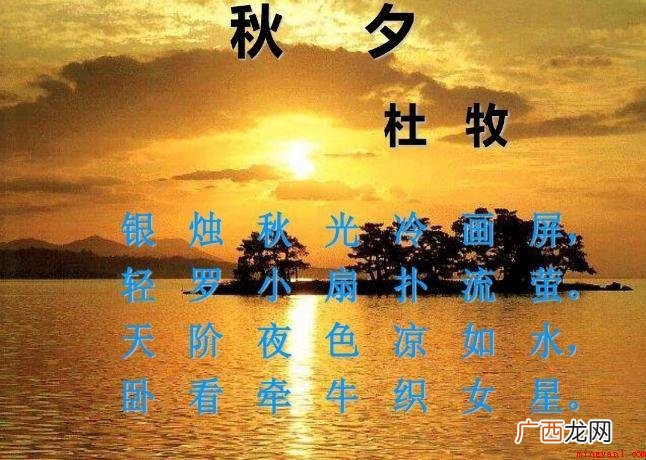 《秋夕》表述了哪些感情 《秋夕》表达了什么情感