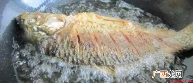 红烧鱼怎样做