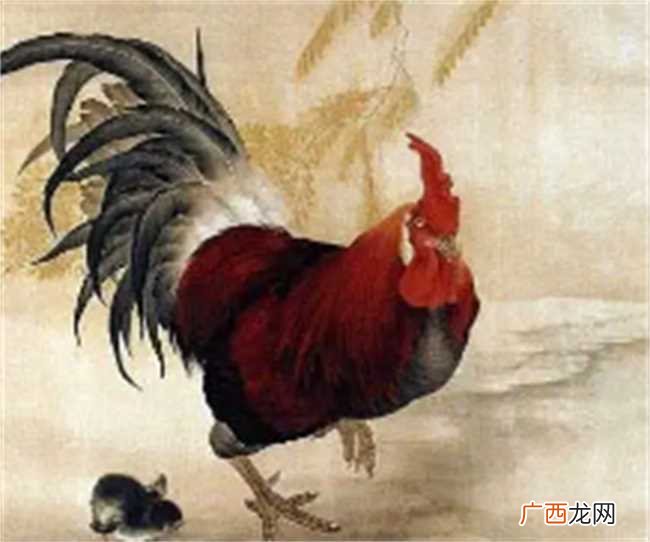 生肖基属性会是什么样的性格特点 生肖属鸡的人特点