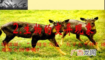 生物的变异现象,生物的变异可以分为哪几种类型？各自的基本含义是什么？