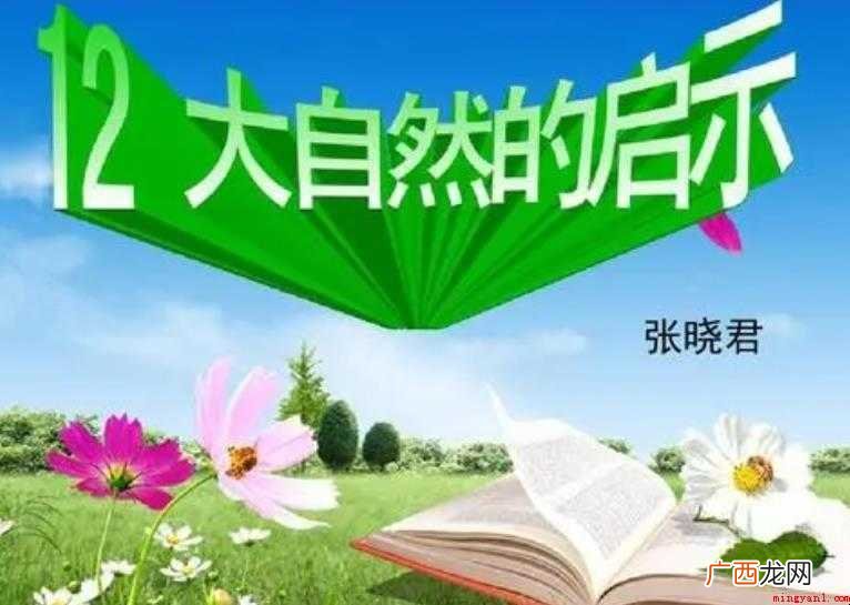 大自然的启示作文怎么写