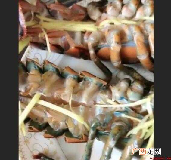 清蒸波士顿龙虾的流程怎么样
