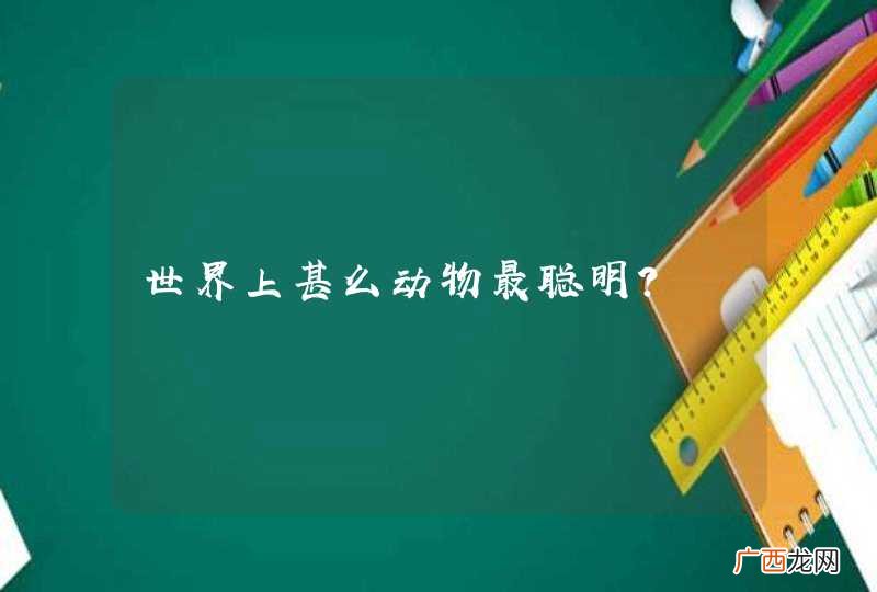 世界上甚么动物最聪明？