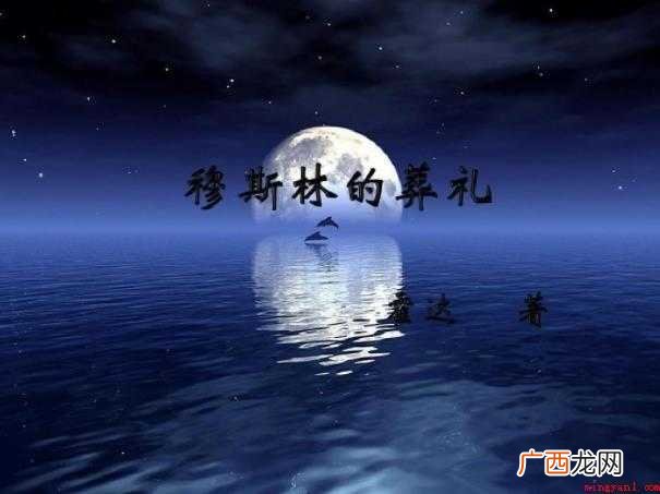 《穆斯林的葬礼》读后感怎么写