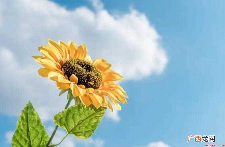 英语励志名言短句有哪些