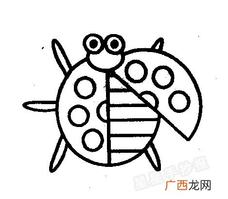 七星瓢虫为什么背上有七个点,七星瓢虫的点为什么会有十个?