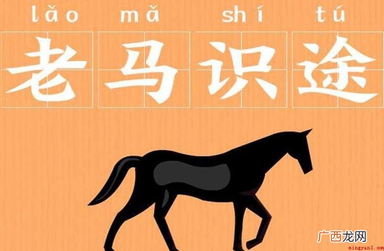 老马识途典故是啥_老马 老马识途成语典故是什么