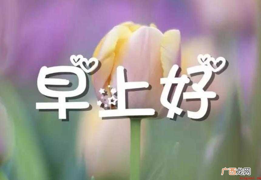 清晨问候语有哪些