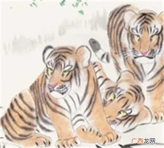 98年生肖属虎运势好坏