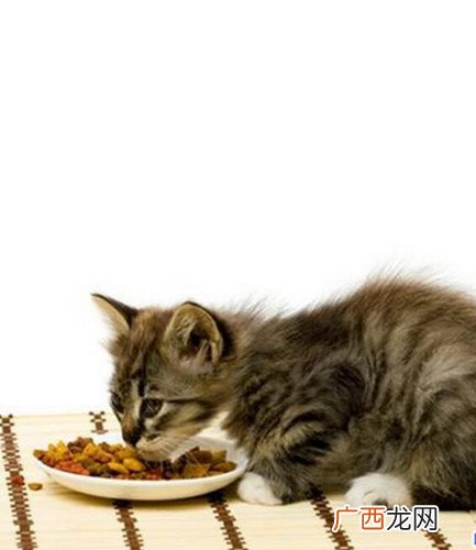 小猫不能吃什么,小猫不能吃什么？