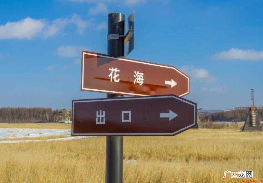 何去何从,汉语成语,拼音是 何去何从是什么意思