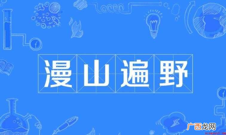 漫山遍野是什么意思