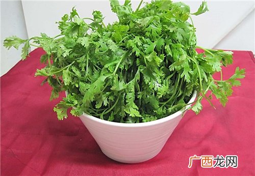盐须菜和香菜的区别,盐须和香菜是一种吗？