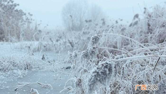 梦见大雪的梦境解析