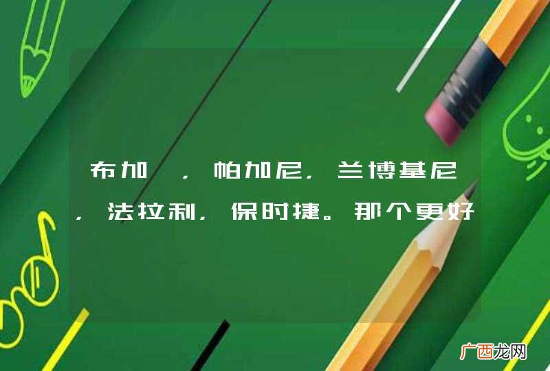布加迪，帕加尼，兰博基尼，法拉利，保时捷。那个更好，更帅？排个名咯。
