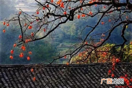 乡愁是啥仿写句子要怎么写 乡愁是什么仿写句子