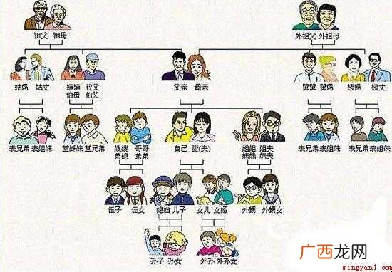 主要社会关系包括哪些