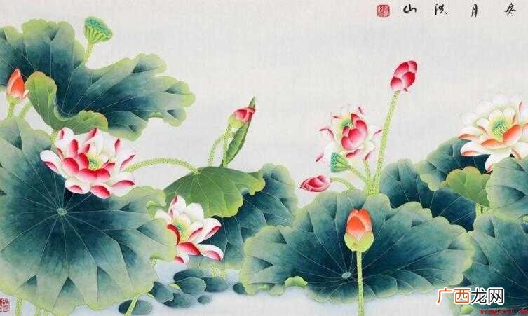国画荷花有什么寓意