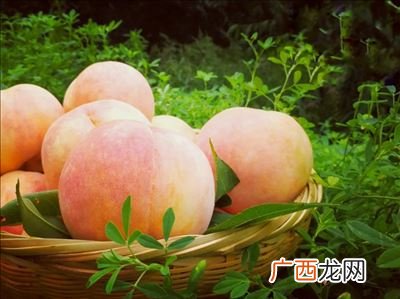 无锡水蜜桃产地有哪些地方,景湖水蜜桃在无锡哪里？