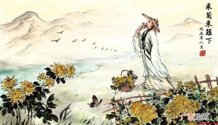 《菊花》的全文是什么 绕着篱笆观赏菊花 《菊花》的全文是什么